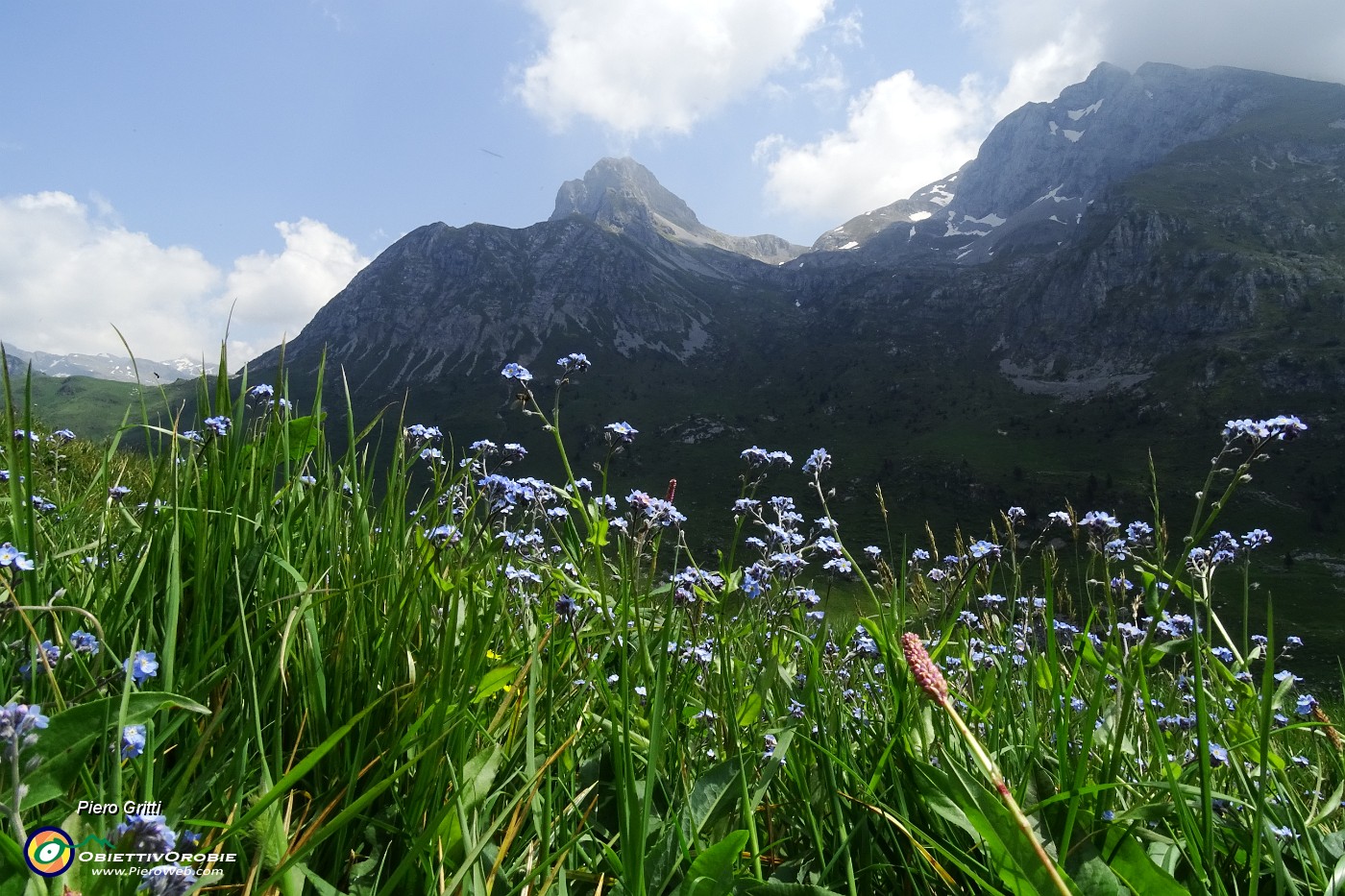 41 Nontiscordar sullo sfondo di Arera e Corna Piana.JPG